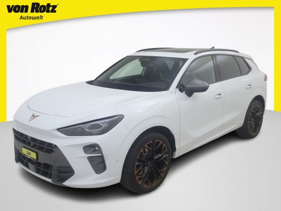 CUPRA Terramar 2.0 TSI VZ 4Drive DSG - Auto Welt von Rotz AG 8