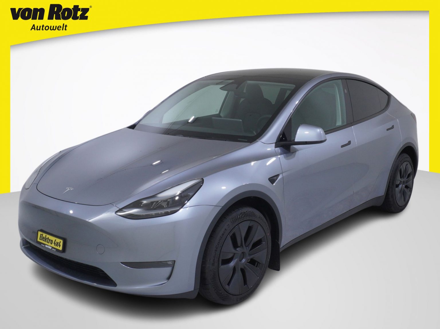 TESLA Model Y Long Range Dual AWD