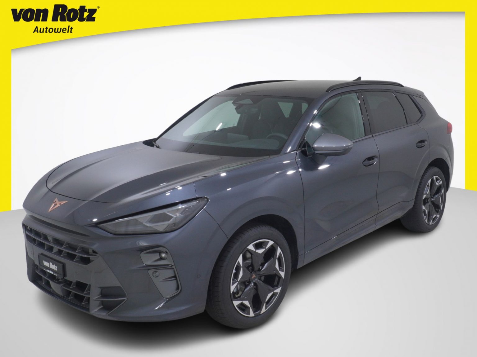 CUPRA Terramar 2.0 TSI 4Drive DSG